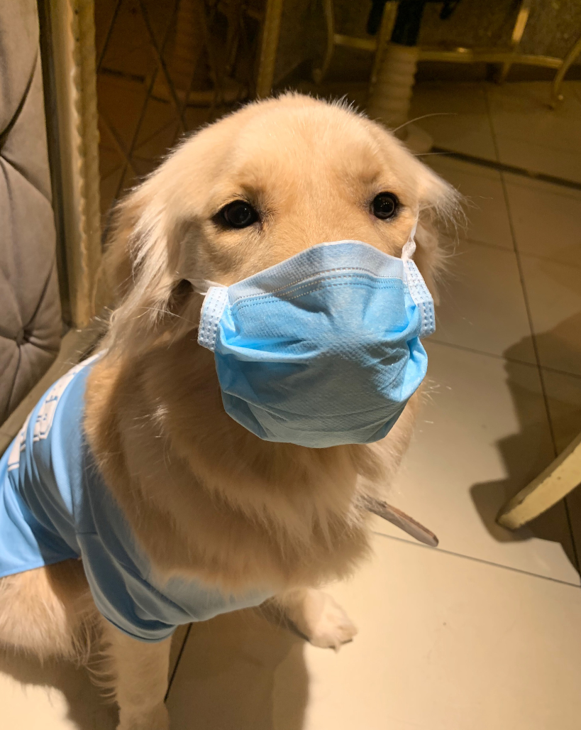 哔……戴口罩的错误示范戴上口罩也不妨碍我瞪你不好意思,嘴有点儿大