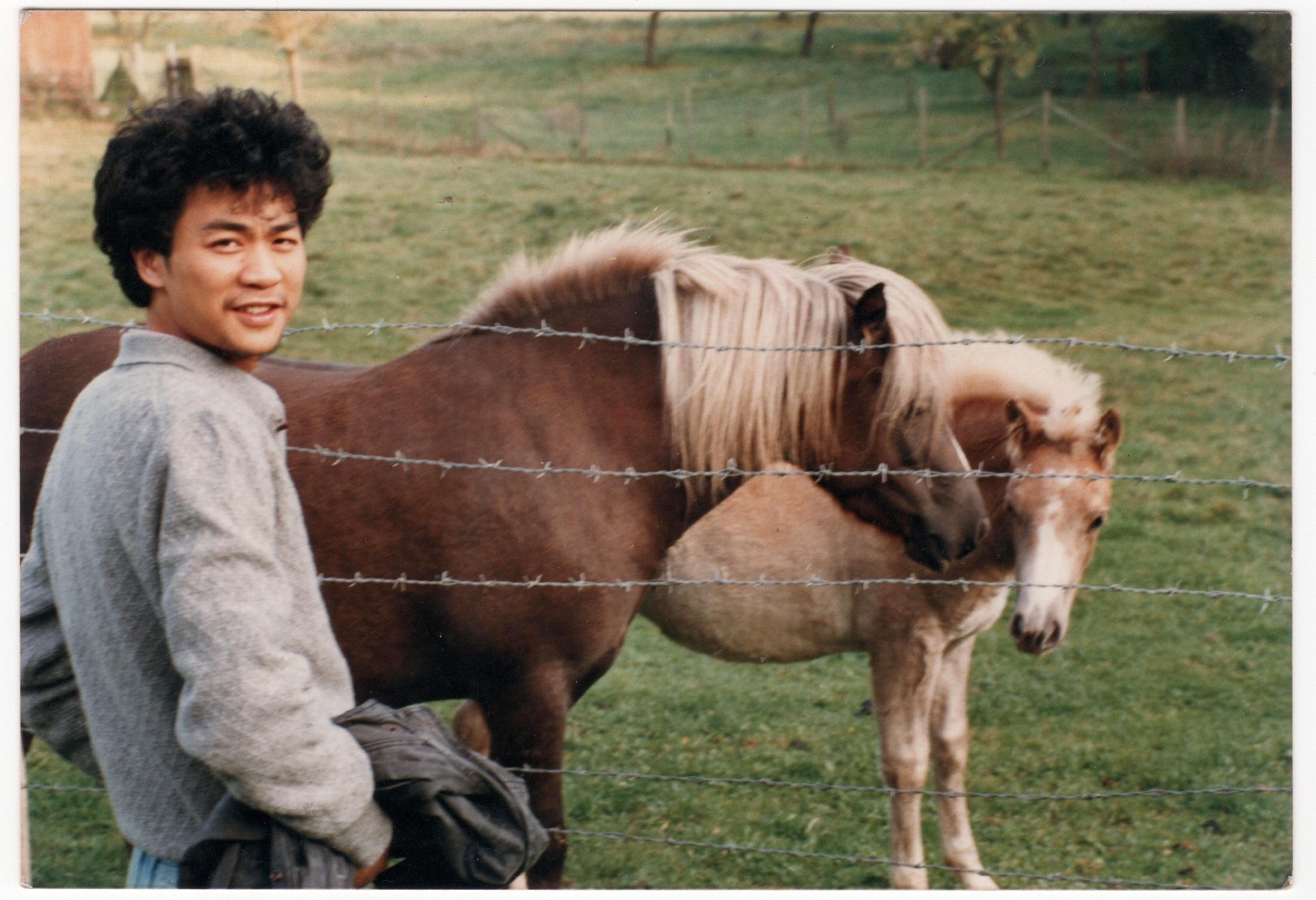 橘颂致张枣知音诗学的现代转化