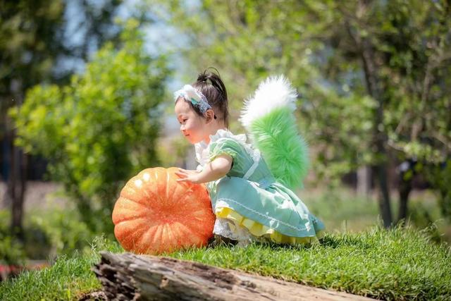 投入30万，回报300万，沈阳“霍比特人小屋”为啥能成全国网红打卡地？休闲区蓝鸢梦想 - Www.slyday.coM