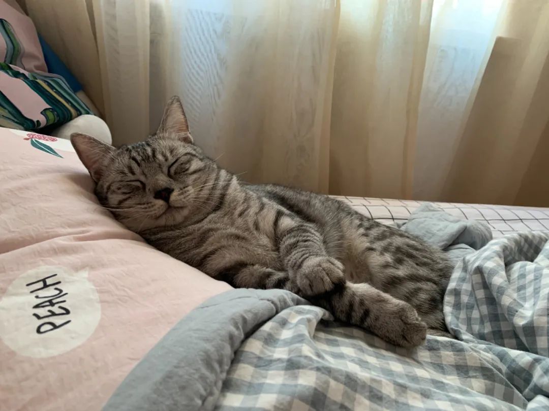 做视频博主的第4年，我不再为了流量而表演休闲区蓝鸢梦想 - Www.slyday.coM