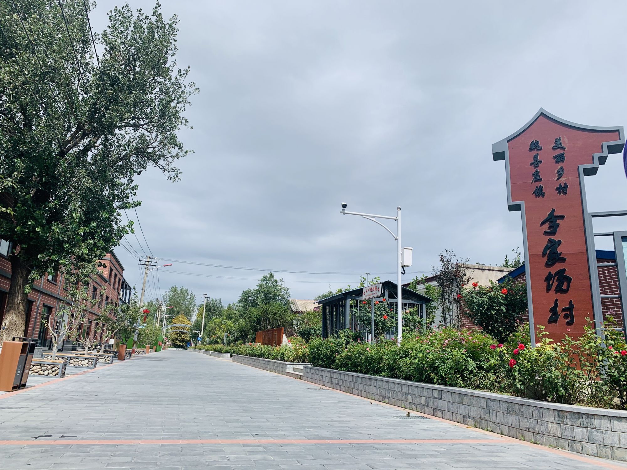 环保新农村蘑菇铺出致富路大兴区李家场村