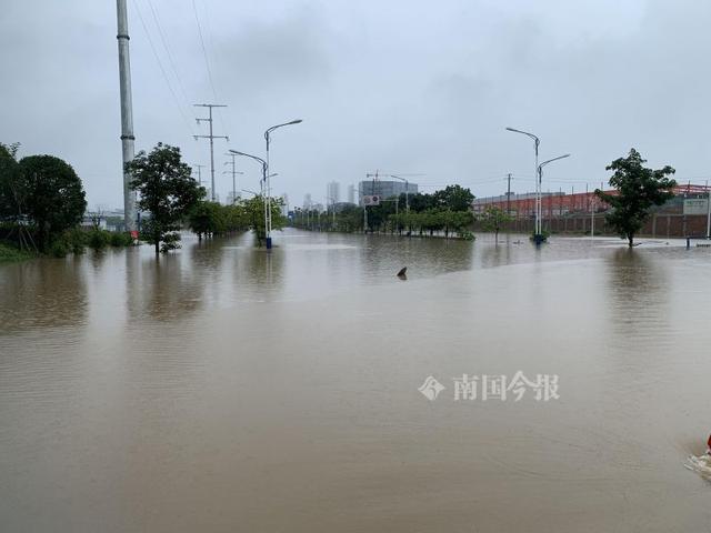 积水难消、车辆被泡……柳州今早的强降雨，导致多个低洼路段出现险情休闲区蓝鸢梦想 - Www.slyday.coM