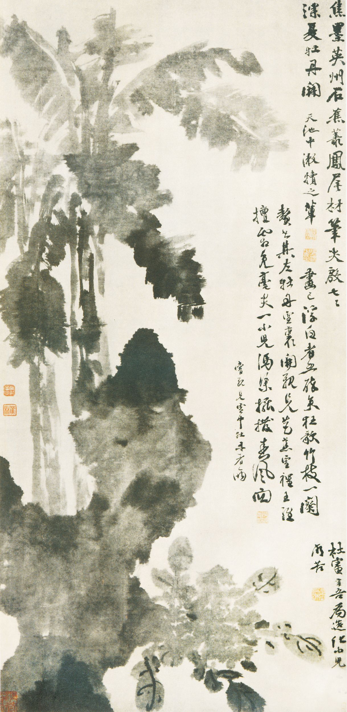 明代 徐渭 《牡丹蕉石图》