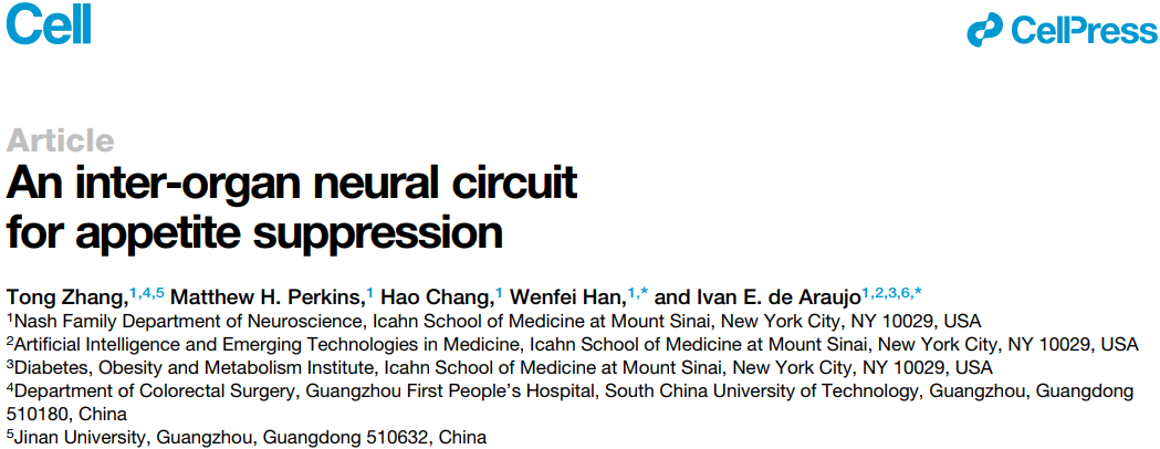 Cell：解密食欲抑制的器官间神经环路
