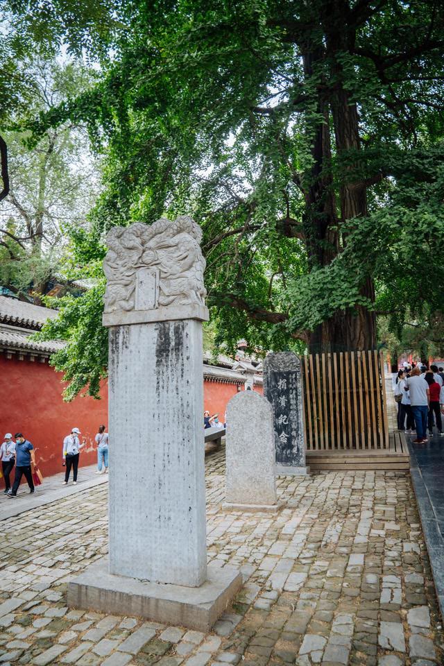 少林寺究竟有多神奇，被誉为天下第1名刹，真的值得来吗？休闲区蓝鸢梦想 - Www.slyday.coM