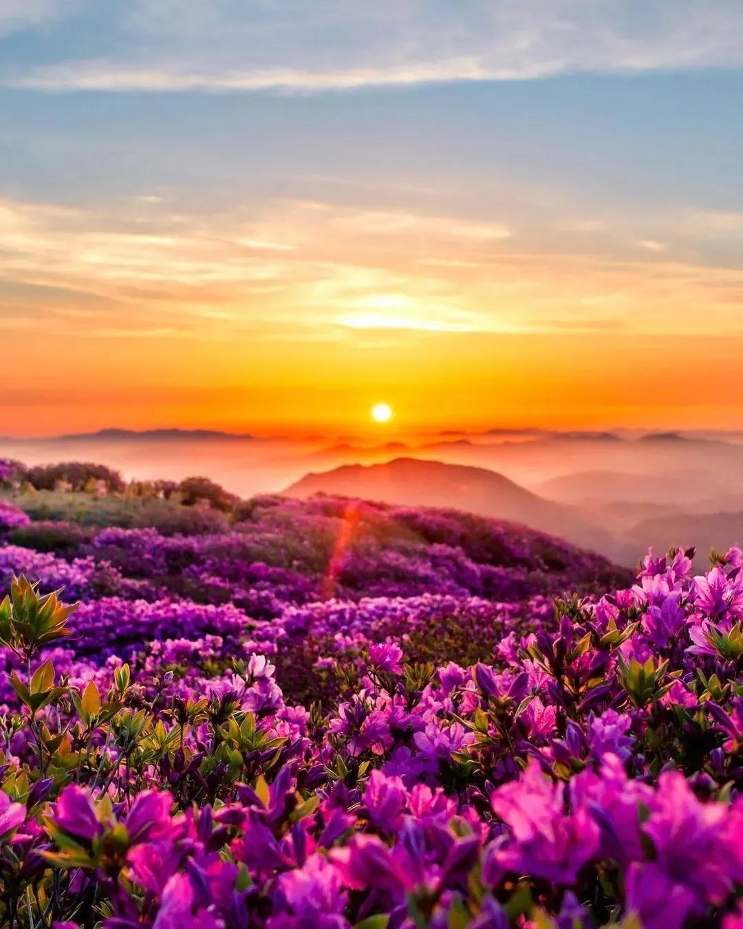 太阳初升的美色景图