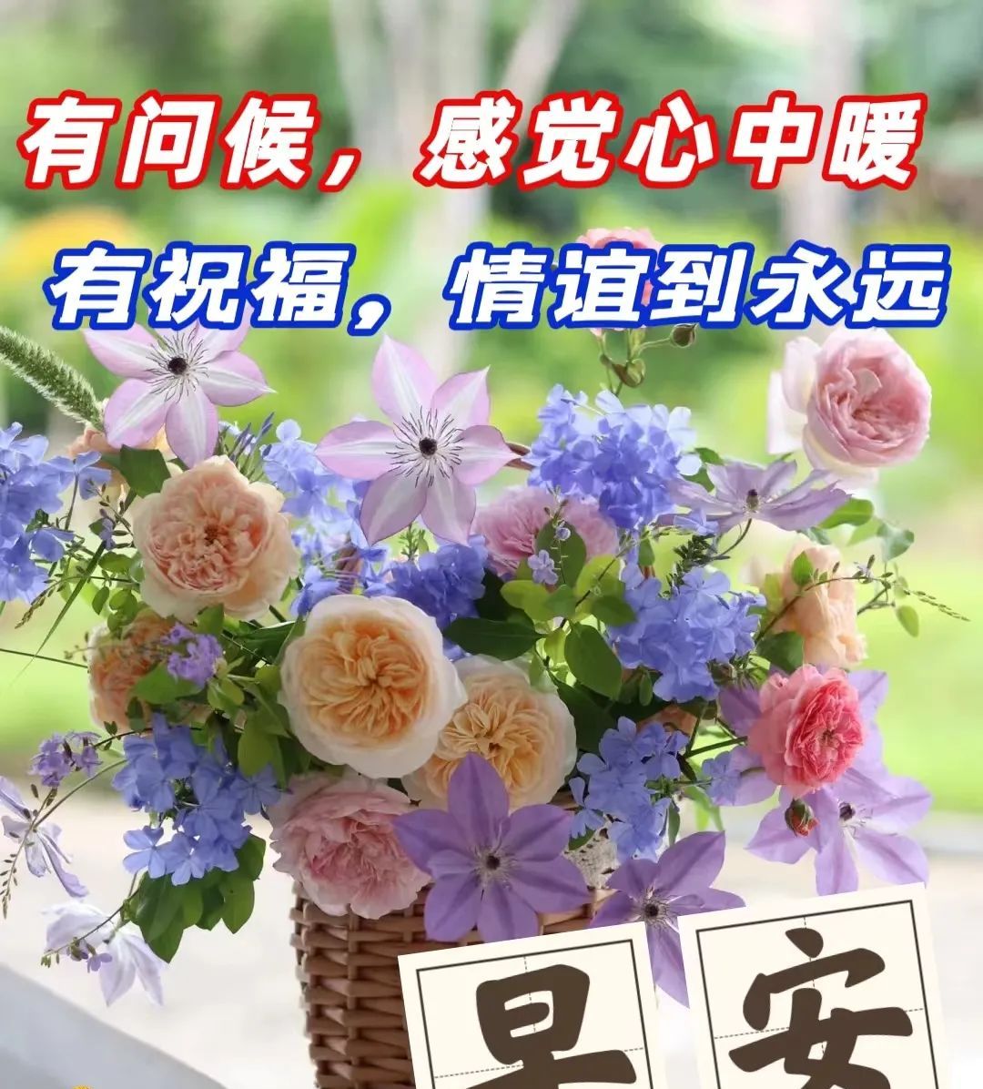 免打字的清晨早安问候祝福图片带字早安问候语及暖心的话