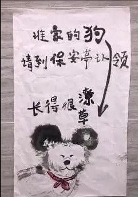 抱回家一只小萌狗,养了几个月后才发现,它的长相过分潦草了吧!休闲区蓝鸢梦想 - Www.slyday.coM 抱回家一只小萌狗,养了几个月后才发现,它的长相过分潦草了吧!休闲区蓝鸢梦想 - Www.slyday.coM