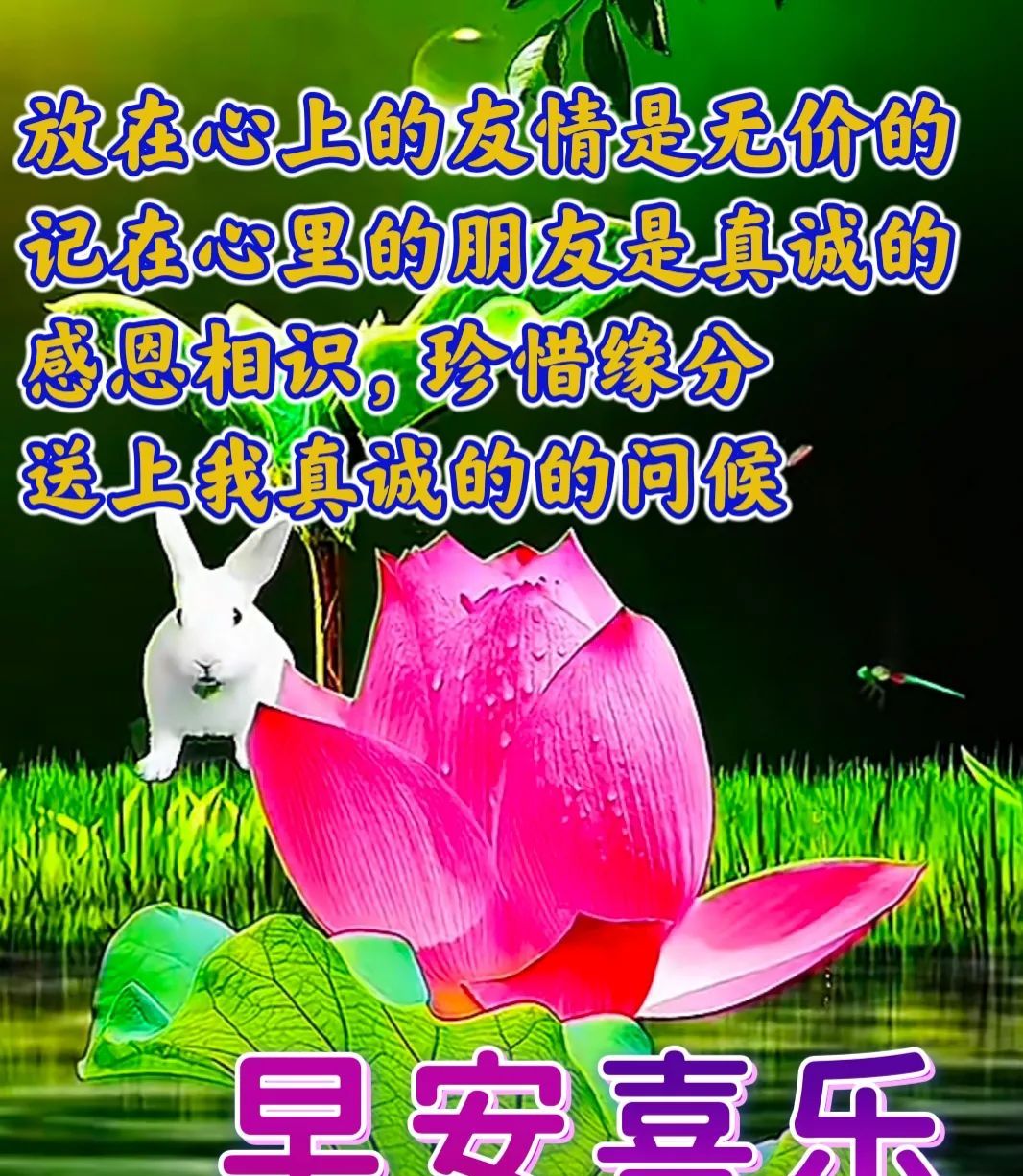 免打字的清晨早安问候祝福图片带字早安问候语及暖心的话