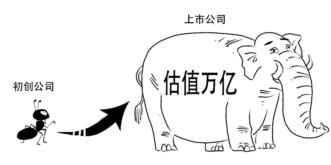 一家初创公司到底是如何一步步实现上市的.