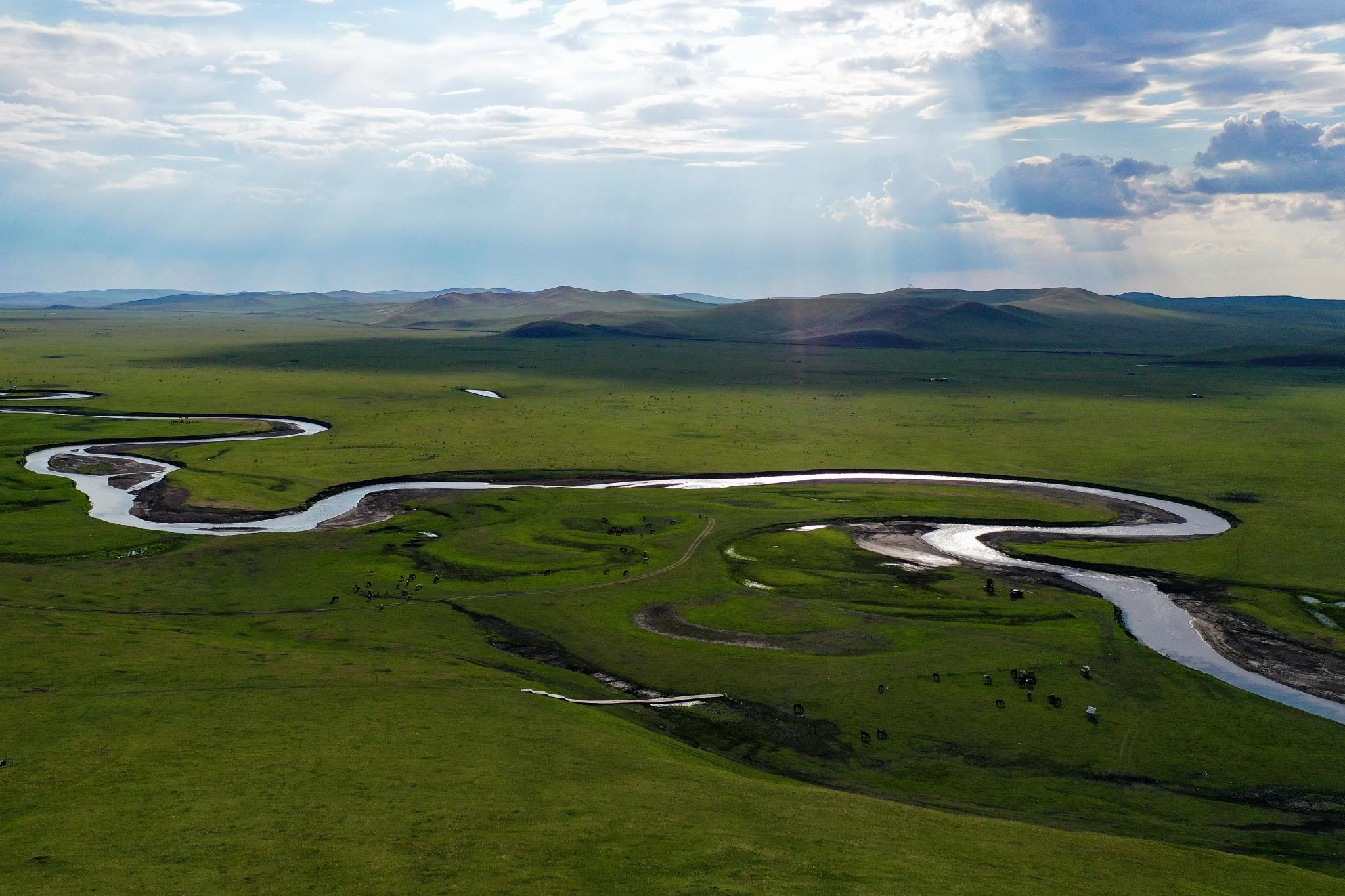 夏日草原景色美 呼伦贝尔草原 新浪新闻