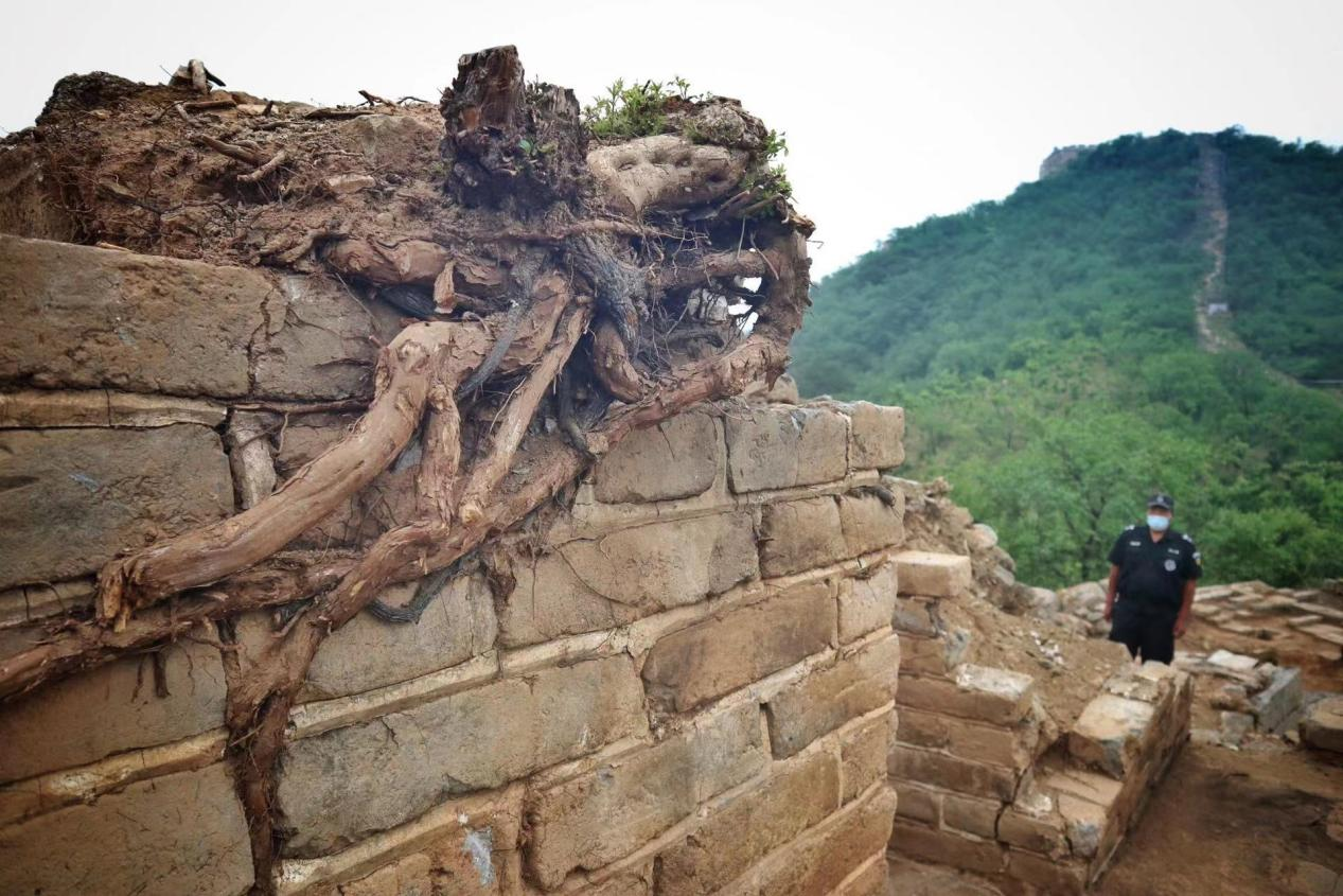大庄科长城研究性修缮考古现场还原长城坍塌动态过程