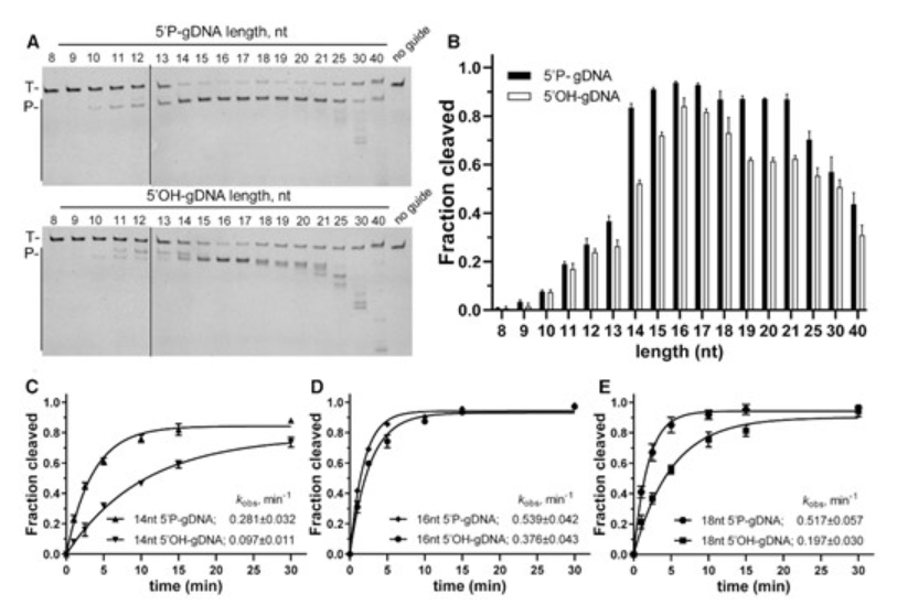 （来源：Nucleic Acids Research）