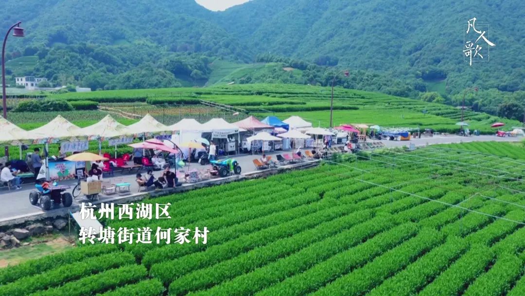 杭州西湖区·转塘街道何家村乡野风中 干一杯!
