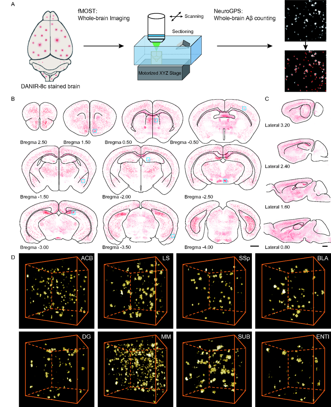 ps怎么做荧光线条