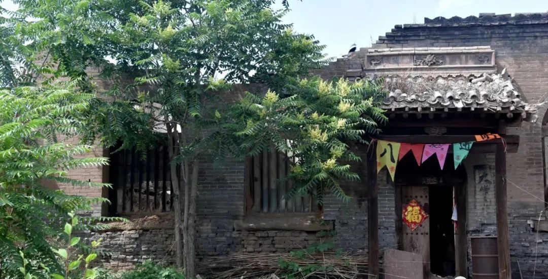 【走进高城】武学忠|高城村有个珍珠院|珍珠|高城|牛_新浪新闻