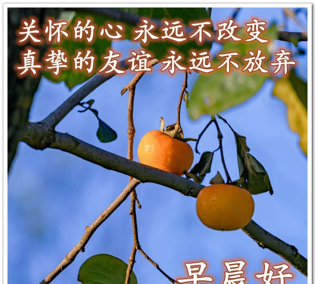 最贴心早安问候图片早安心语祝福问候语