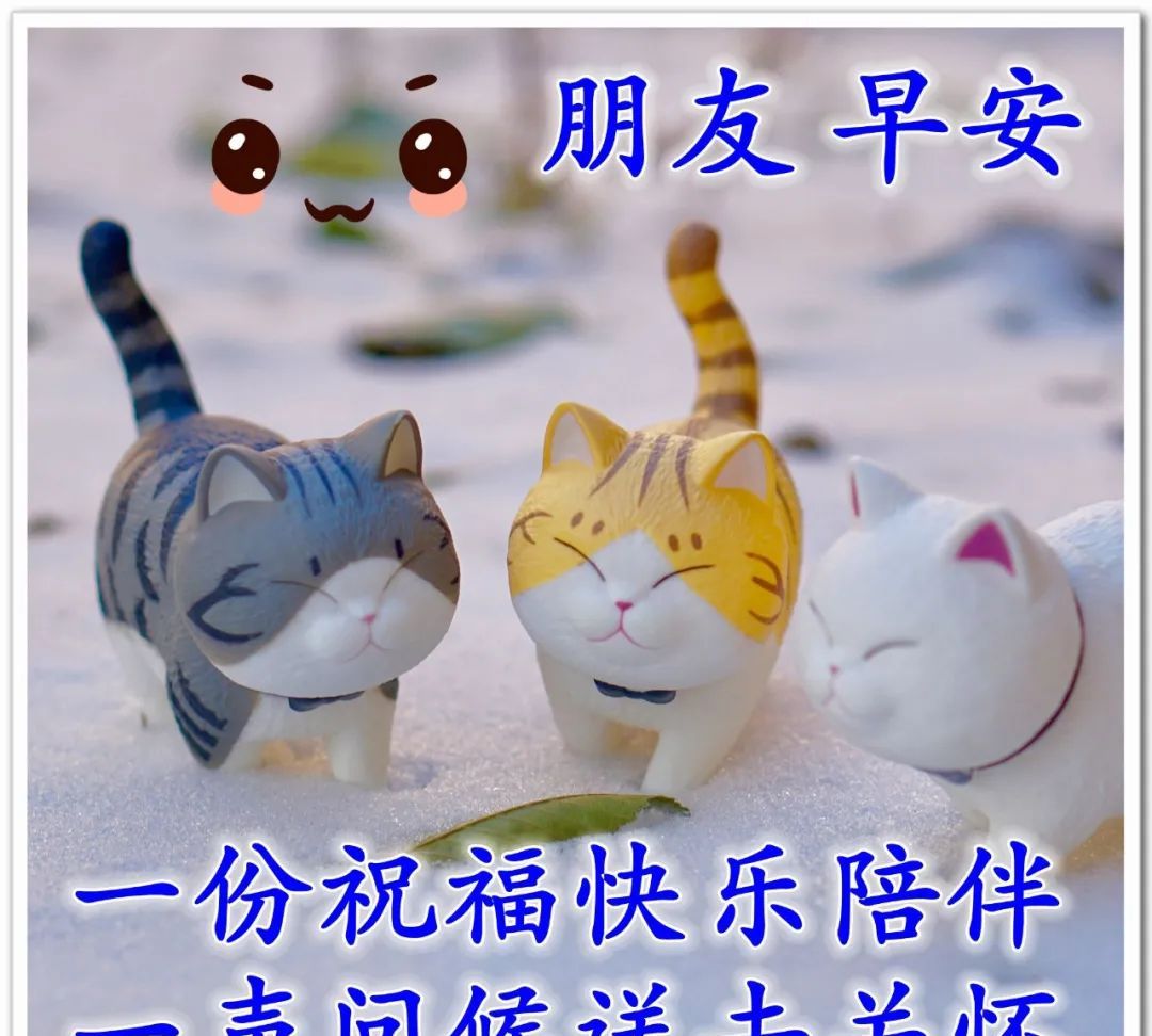 最贴心早安问候图片早安心语祝福问候语