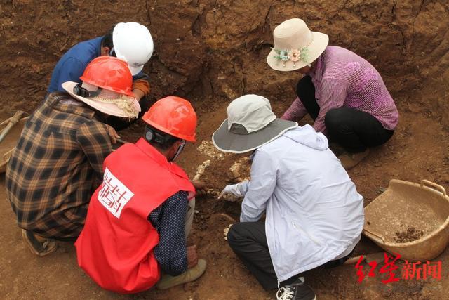 解密“青铜王国”！凉山盐源老龙头墓葬考古重大发现将发布，或与三星堆、金沙有关休闲区蓝鸢梦想 - Www.slyday.coM