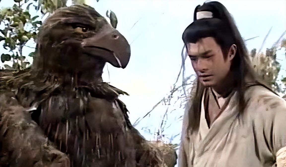 他勤修武功,行侠江湖,大雕始终不离不弃,于是杨过有了神雕大侠的称号