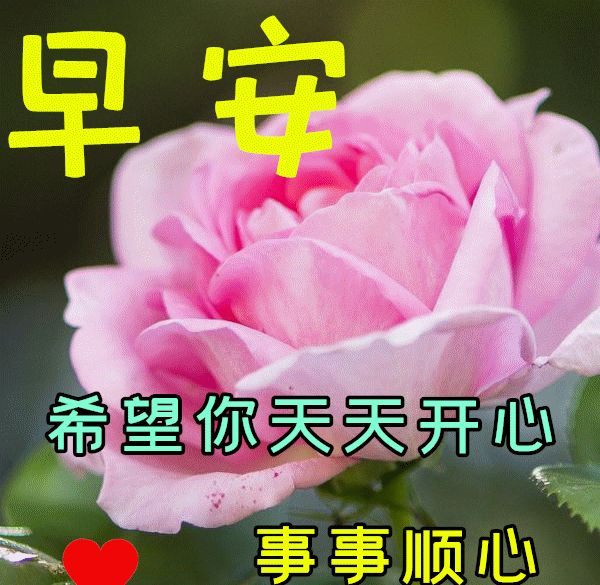 创意唯美风景早上好动画表情图片早上问候温馨祝福语图片