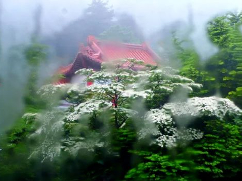 夏天的雨，落在了诗词里，美到极致|夏雨|笔下|西湖_新浪新闻