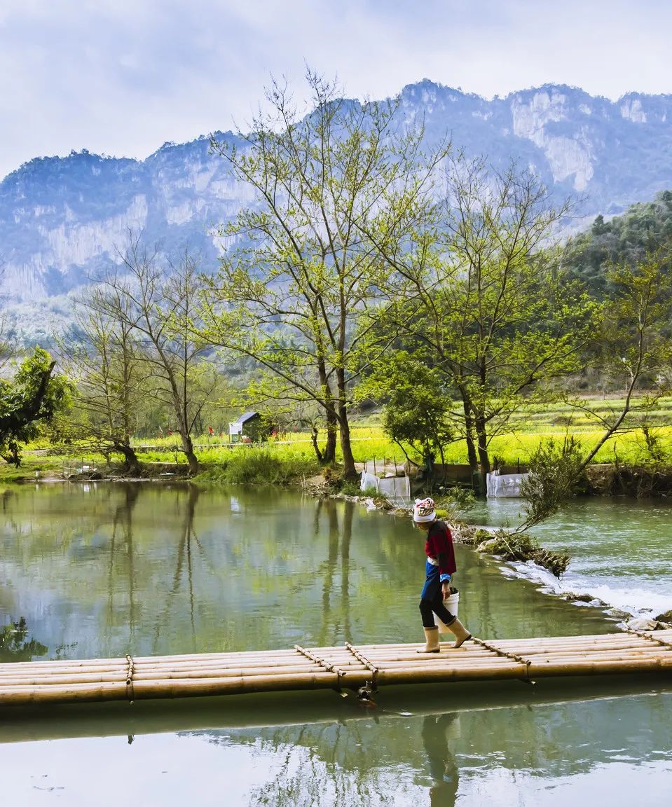去过广南坝美就知道陶渊明没有骗人
