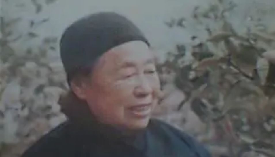 农妇自称是陈毅妻子，被人质疑神经有问题，31年后中央证明其身份休闲区蓝鸢梦想 - Www.slyday.coM