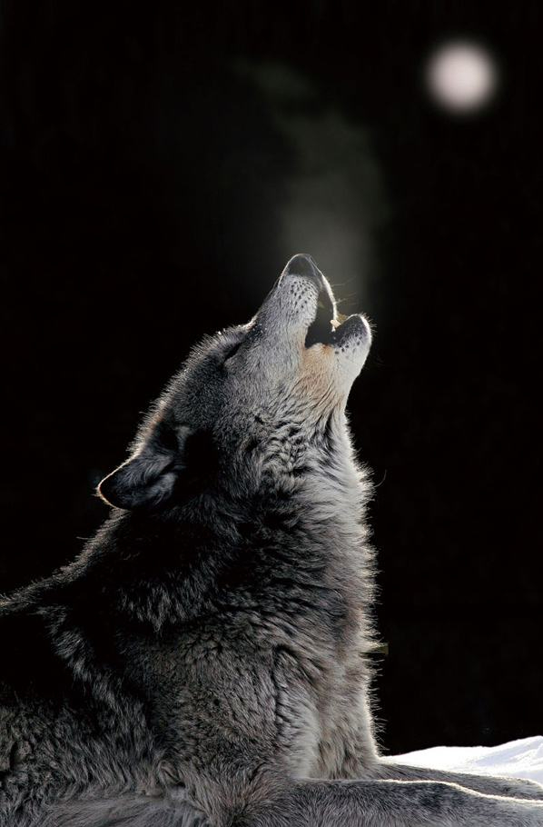 598_910竖版 竖屏