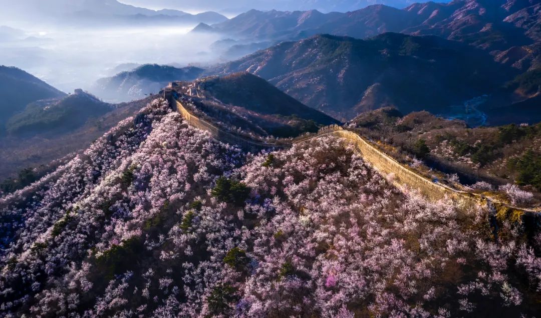 90后小伙蹲守长城7年，拍下50万张绝美照片，央视都忍不住盛赞：原来我们的长城这么美！休闲区蓝鸢梦想 - Www.slyday.coM