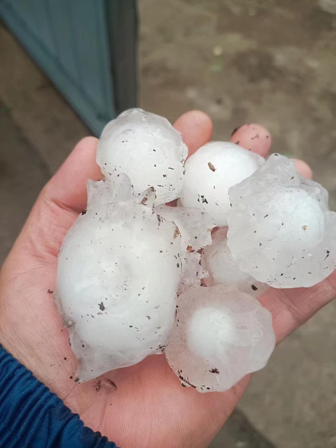 冰雹突袭北京密云区套里村137栋大棚受损