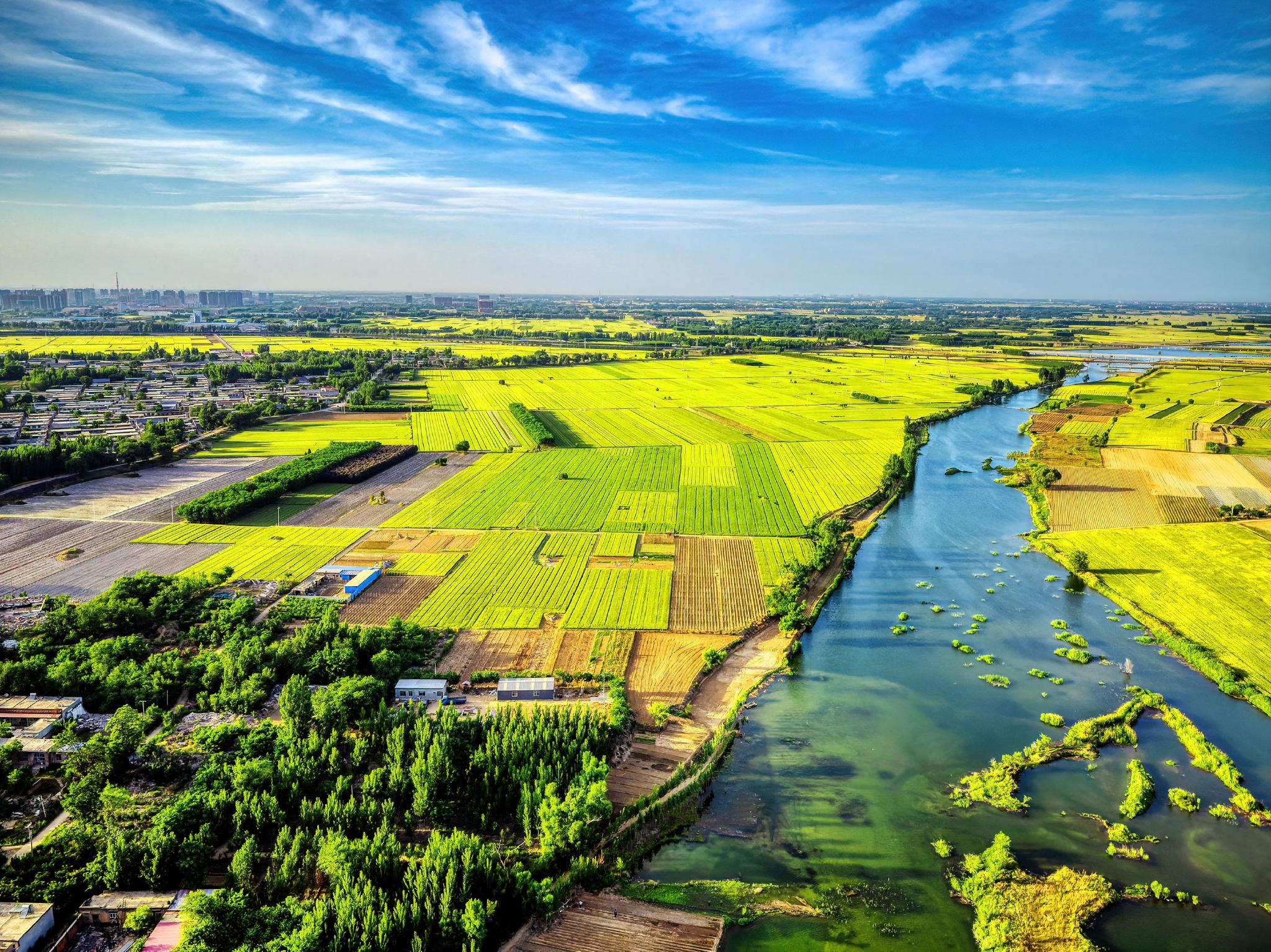 白洋淀上游潴龙河蠡县段.