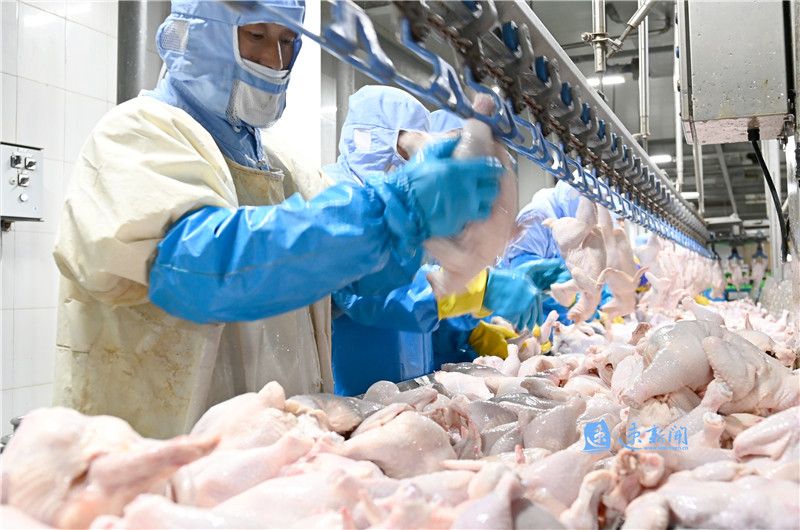 20链20企探析宿迁制造见证中国骄傲②正心诚意打造全产业链农牧食品