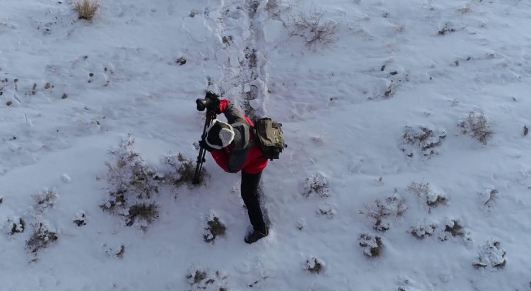 90后小伙蹲守长城7年，拍下50万张绝美照片，央视都忍不住盛赞：原来我们的长城这么美！休闲区蓝鸢梦想 - Www.slyday.coM