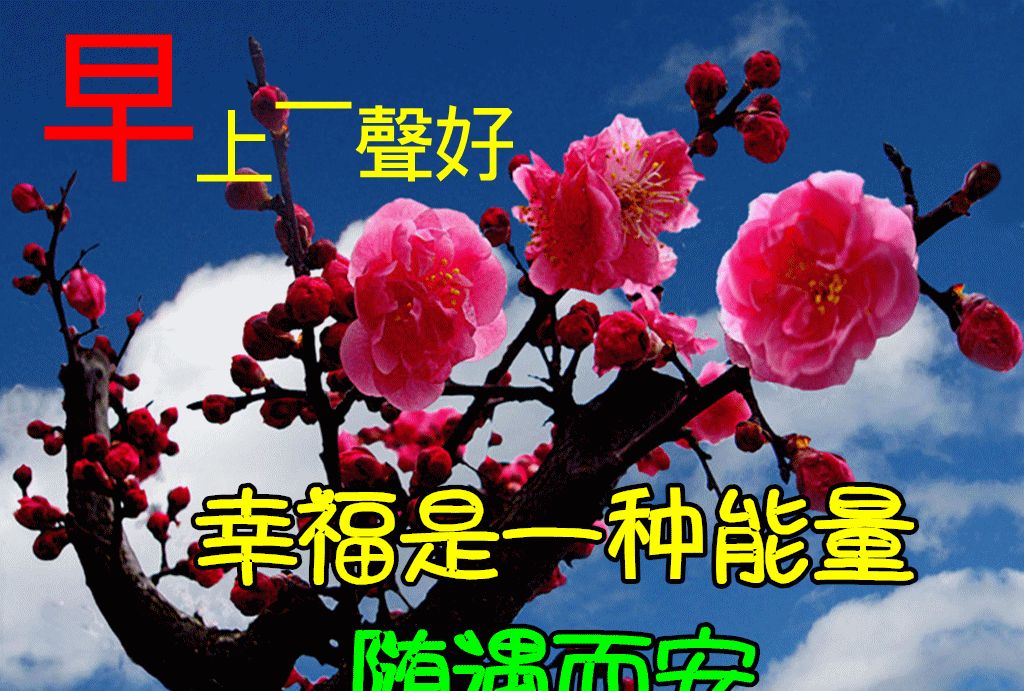 有创意的清晨早上好动态表情鲜花图片带祝福语 早安问候__财经头条