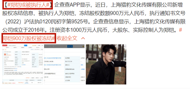 郑恺再次成被执行人，900万股权被冻结，公司曾被强制执行3300万休闲区蓝鸢梦想 - Www.slyday.coM