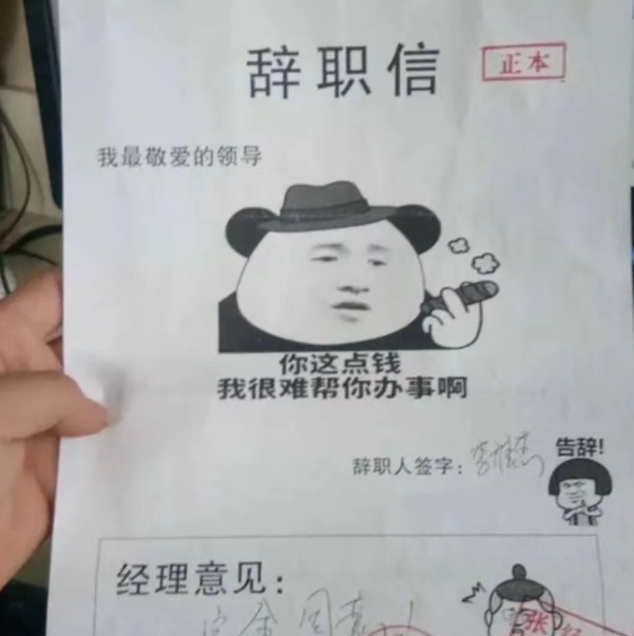 “我家拆迁了”，00后毕业生辞职信火了，理由奇葩令人捧腹大笑休闲区蓝鸢梦想 - Www.slyday.coM
