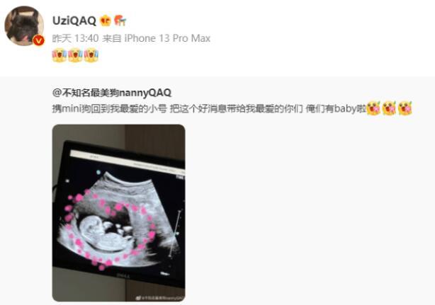 Uzi又被曝人品不好，小虎跟他断绝来往，狗史组合也彻底决裂休闲区蓝鸢梦想 - Www.slyday.coM