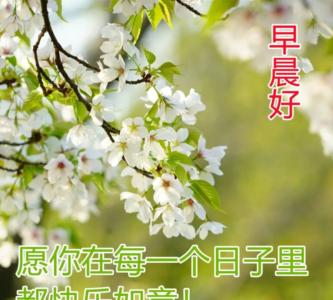 朋友圈暖心的早安问候祝福语清晨早安问候祝福图片表情