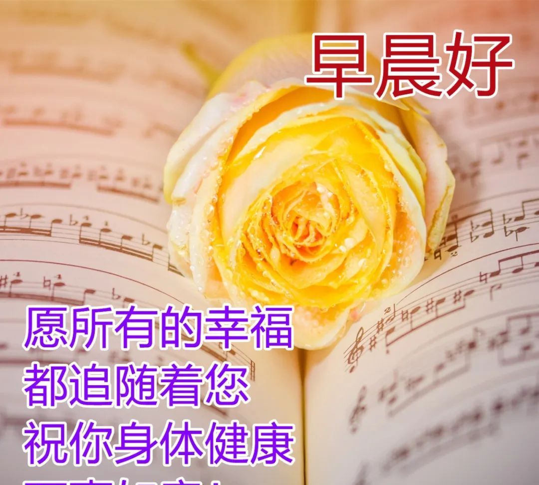朋友圈暖心的早安问候祝福语清晨早安问候祝福图片表情