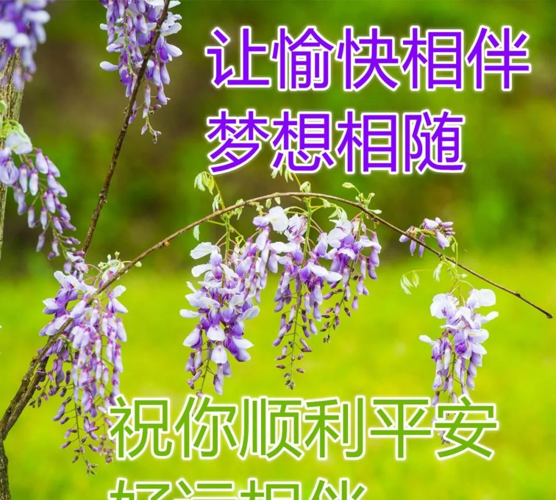 朋友圈暖心的早安问候祝福语清晨早安问候祝福图片表情