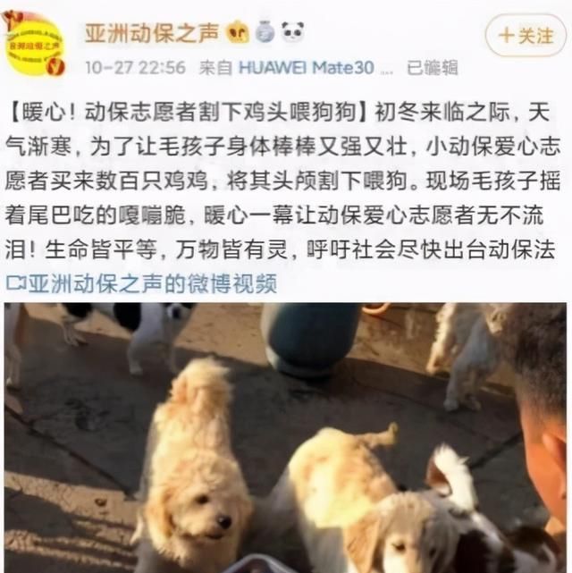 吃狗肉的时候被狗狗看到,狗会有什么反应?
