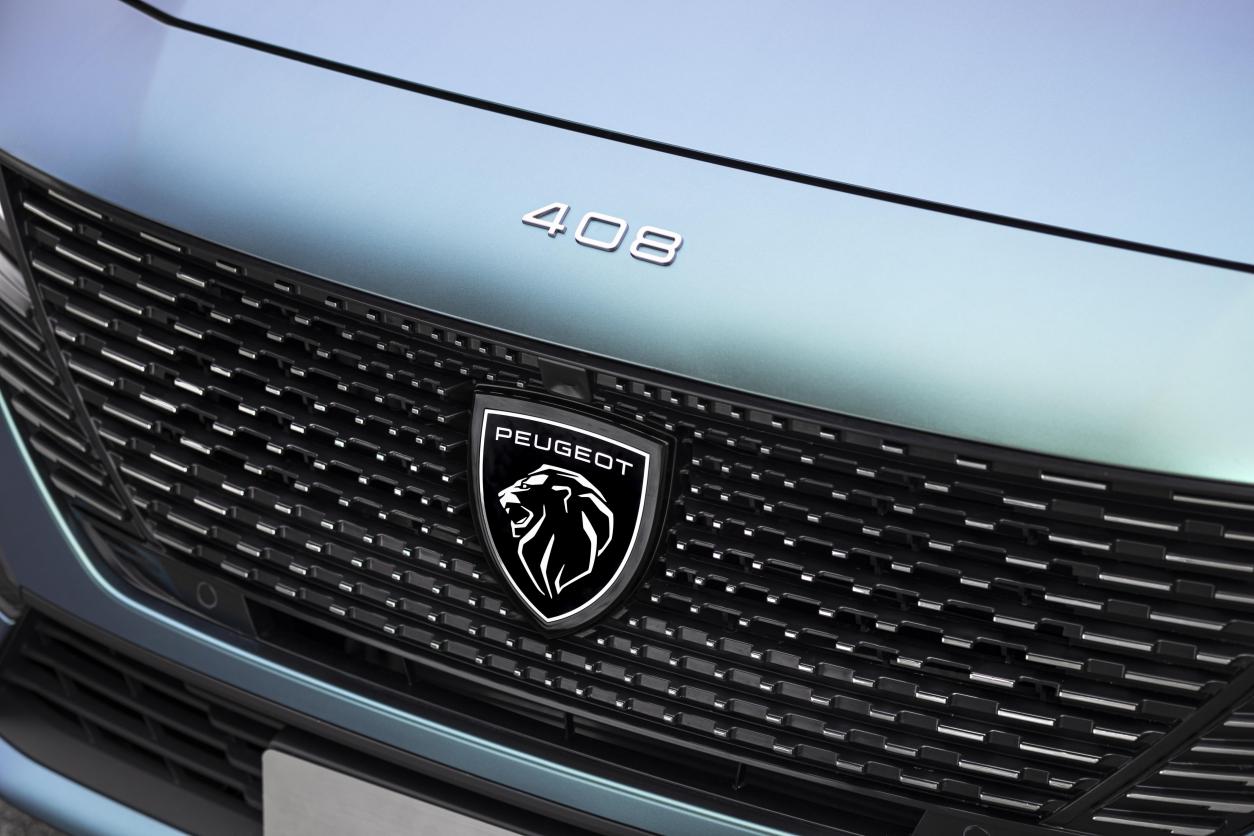 新408对比伊兰特如何？具体参照狮子对比其他一切动物