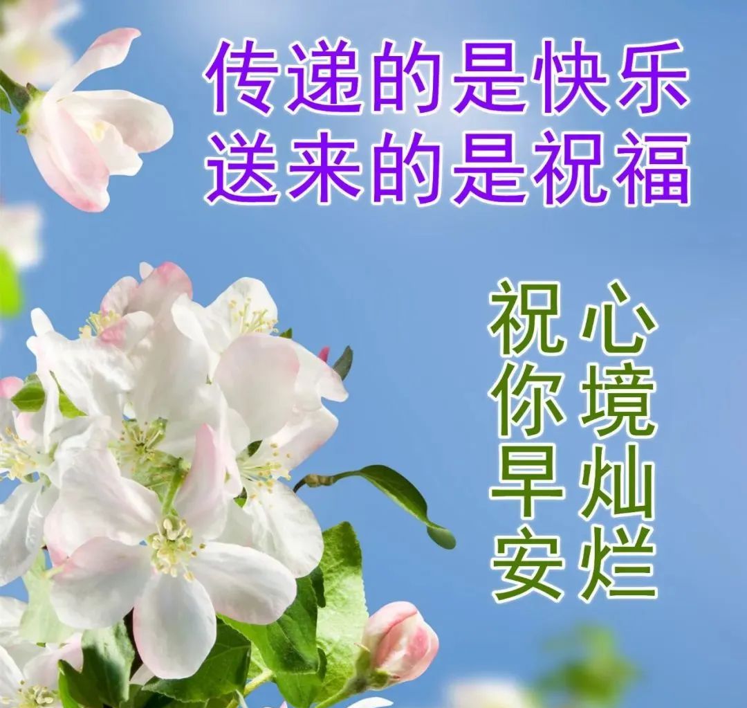 好看精美的早上好动态表情包图片最美早安问候祝福语图片