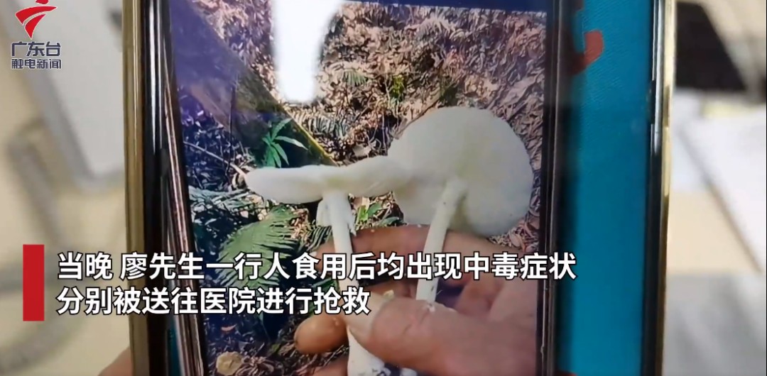 雨天过后这种食物不能碰！有剧毒！每年都有人吃丢性命~休闲区蓝鸢梦想 - Www.slyday.coM