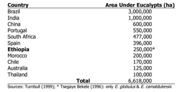图5 各国桉树种植面积（公顷）