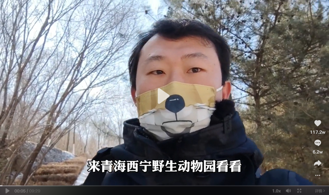兔狲爆红，一家野生动物园的“翻身仗”休闲区蓝鸢梦想 - Www.slyday.coM
