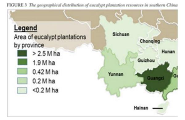 图7 中国的桉树种植地分布