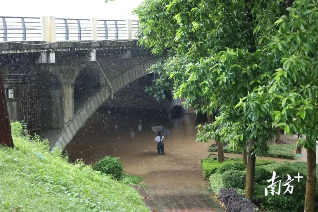 出行注意！广东进入大泼水模式！休闲区蓝鸢梦想 - Www.slyday.coM