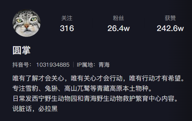 兔狲爆红，一家野生动物园的“翻身仗”休闲区蓝鸢梦想 - Www.slyday.coM